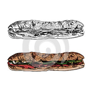 Vector Sketched Drawings, Long Sub Sandwich, Colored Illustration and Outline, Fast Food Illustration Isolated, Hand Drawn.