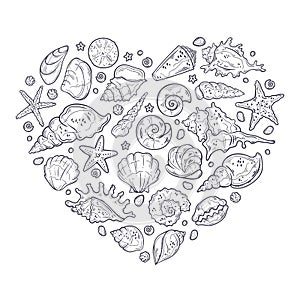 Vector sketching illustrations. Different types of seashells