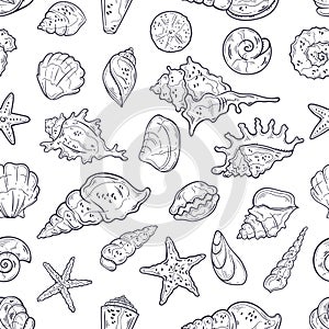 Vector sketching illustrations. Different types of seashells