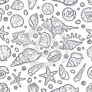 Vector sketching illustrations. Different types of seashells