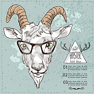 Vector sketchy illustration. Hand Drawn Portrait of hipster goat