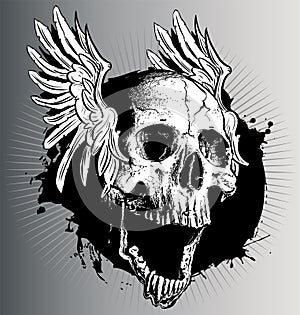 Vector skull with wings