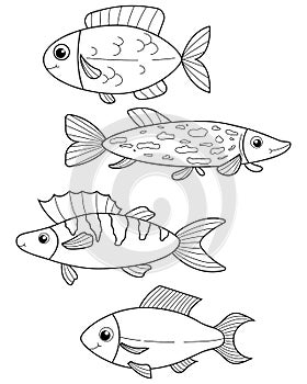 Vector small fish isolated on white background. Coloring book marine life, set of vector elements. Fish outline.