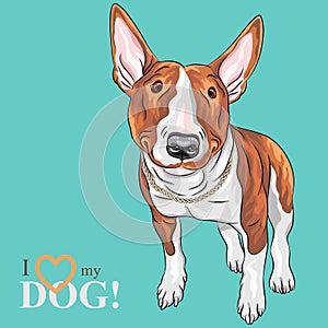 Vector smiling cartoon Bull Terrier Dog breed