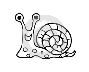 Vector Snail Slug