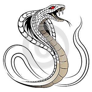 Vector Snake, Cobra photo