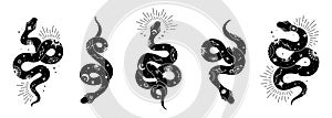 Vector snake set of mystical magic objects- moon, eyes, constellations, sun and stars. Spiritual occultism symbols