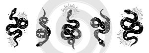 Vector snake set of mystical magic objects- moon, eyes, constellations, sun and stars. Spiritual occultism symbols photo