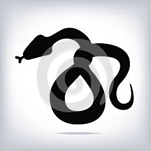 Vector Snake for your design.