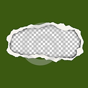 Vector snatched hole in green foliage color paper sheet. Transparent background of resulting window has space for text or ad. Torn
