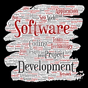 Vector software development project coding technology