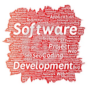 Vector software development project coding technology