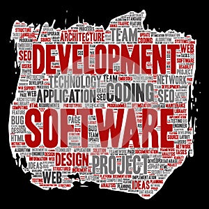 Vector software development project coding technology