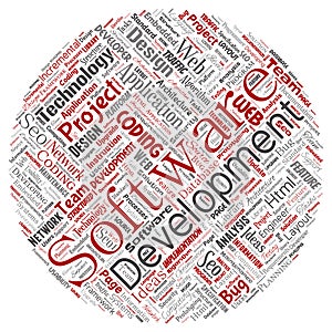 Vector software development project coding technology