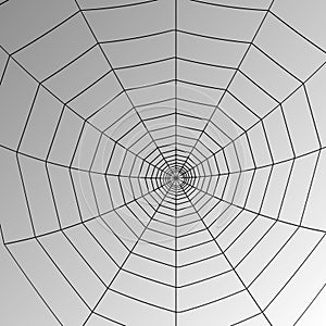 Vector spider web