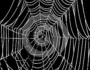 Vector Spider Web Background T