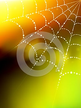 Vector spider web illustration