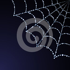 Vector spider web illustration