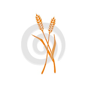 Vector Spikelet isolated on white background. Spica plant. Wheat, rice, rye ear, symbol of farming, bread, harvest