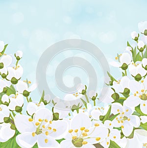 Vector spring background.