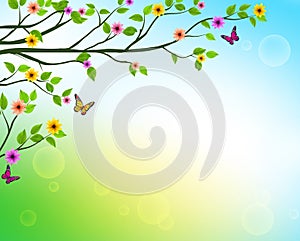 Vector Spring Background of Tree Branches with Growing Leaves