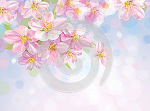 Vector of spring blossoming tree with bokeh backgr