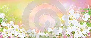 Vector spring, floral background