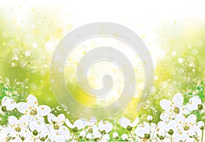 Vector spring floral background