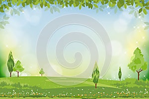 Vector Spring nature background with snowdrop flower and green grass field, Summer background with branches leave on boarder and