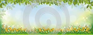 Vector Spring nature background with sunflowers and green grass field, Summer background with branches leave on boarder and blurry