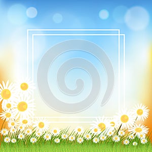 Vector Spring sale flyer with copy space for letter in the center, Summer frame with white daisy flowers with blurry boken in blue