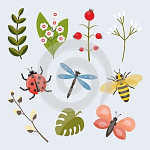 Vector Spring set of cute insects and plant branches Illustration for postcard stickers