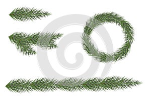 Vector Spruce branch