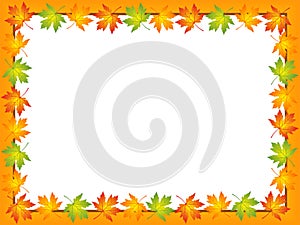 Vector square photo frame with fallen autumn maple leaves on white background with copy. Fall background with bright golden maple