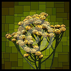 Vector square stained glass window with blooming tansy.