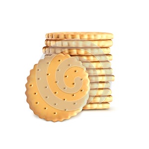 Vector stack of round biscuit cookies. Template, mockup for crackers isolated on white background. Whole wheat biscuit