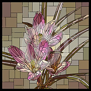 Vector stained glass window with blooming bouquet of pink crocuses.