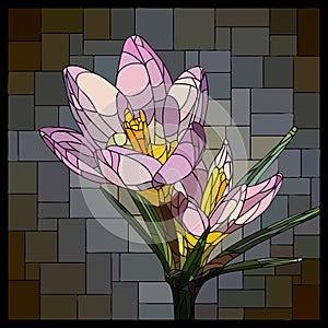 Vector stained glass window with blooming bouquet of purple crocuses.