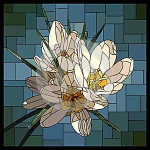 Vector stained glass window with blooming bouquet of white crocuses.