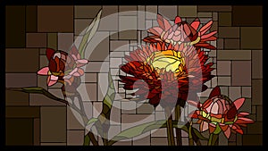 Vector stained glass window with blooming helichrysum with buds.