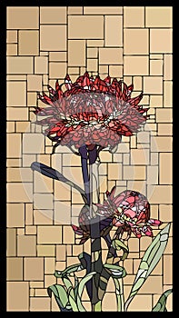 Vector stained glass window with blooming helichrysum with buds.