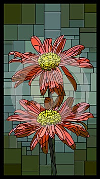 Vector stained glass window with blooming pyrethrum.