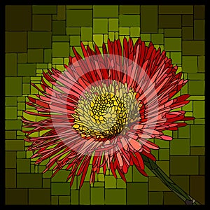 Vector stained glass window with blooming red erigeron.