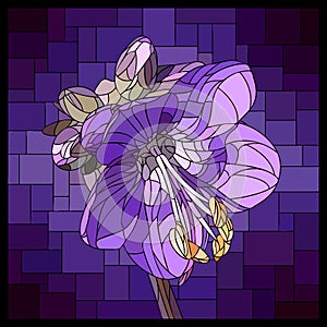 Vector stained glass window with blooming violet Polemonium.