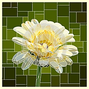 Vector stained glass window with blooming white calendula.