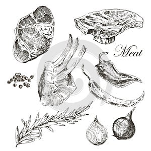 Vector steak meat hand drawing with pepper and