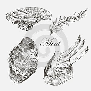 Vector steak meat hand drawing with pepper and