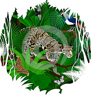 Vector sticker - tropical rainforest Jungle illustration