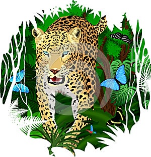 Vector sticker - tropical rainforest Jungle with jaguar