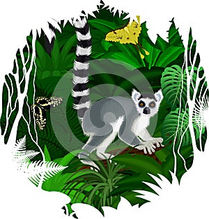 tropical rainforest Jungle with ring-tailed Madagascar lemur and butterflies photo